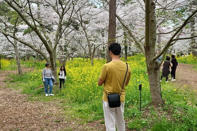 Private Day tour Guided Taxi Driver All Jeju area in Jeju island - Key Points