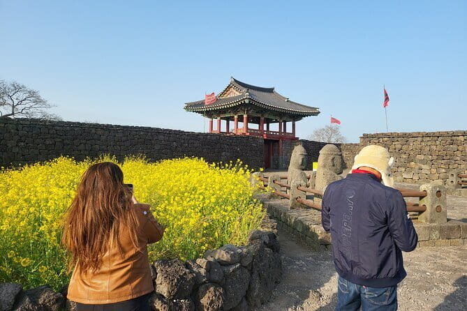 Private Day tour Guided Taxi Driver All Jeju area in Jeju island - An Honest Look at the Full Day of Jeju Exploration