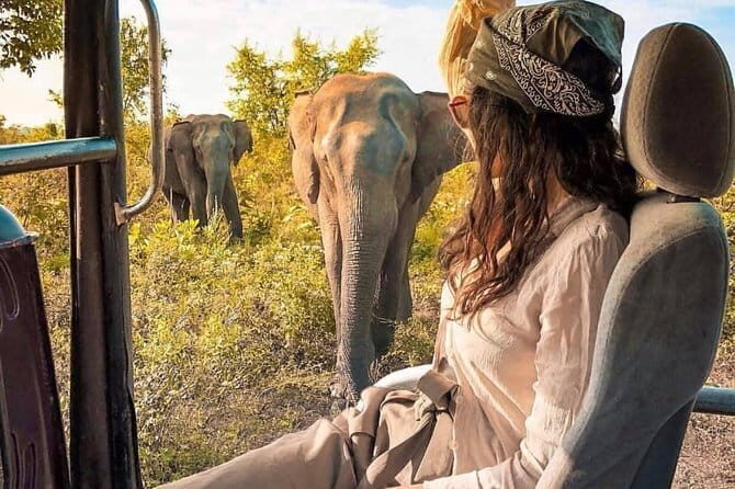 Private Day Tour : Handungoda and Galle from Colombo - Who Will Love This Tour?