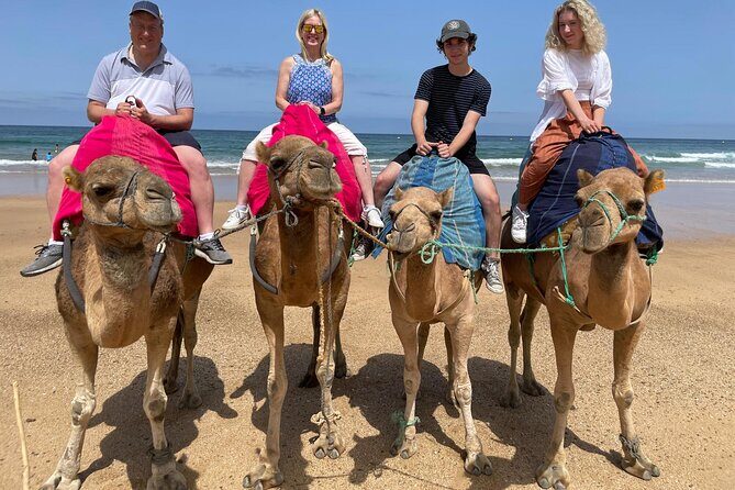 Private Day Tour in Gibraltar and Tangier, Morocco from Malaga - Frequently Asked Questions