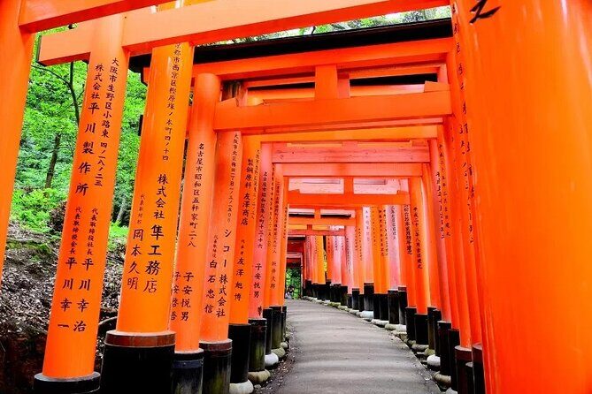 Private Day Tour in Osaka and Kyoto with charter car - Who Will Love This Tour?