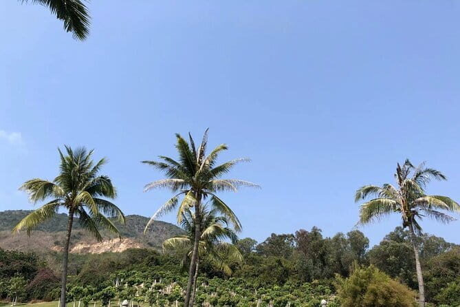 Private Day Tour in Sanya: Nanshan Cultural Tourism Zone and Luhuitou - Exploring Nanshan Cultural Tourism Zone