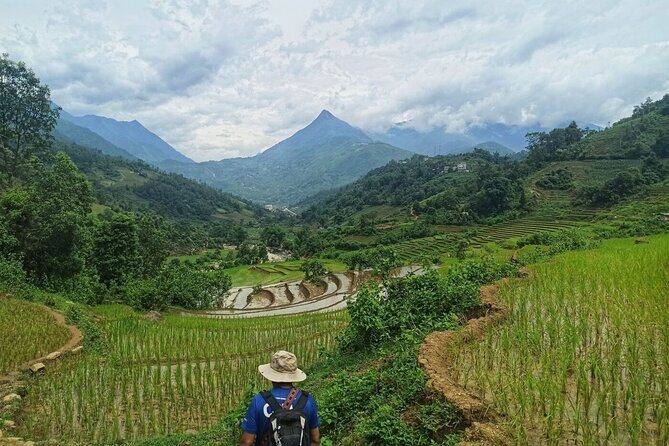 Private Day Tour in Sapa to Remote Village - What Travelers Love About This Tour