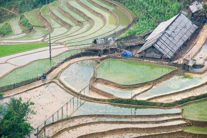 Private Day Tour in Sapa to Remote Village - Who Will Enjoy This Tour?