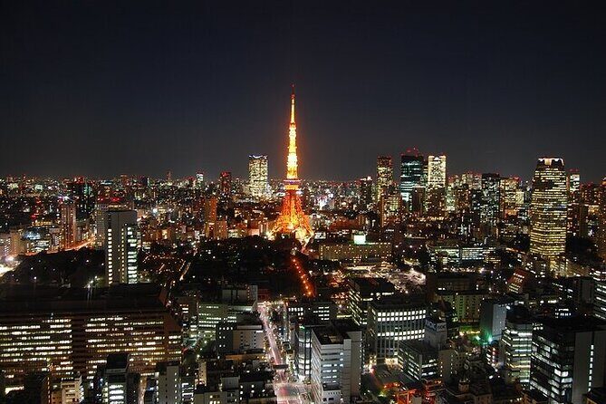 Private Day Tour in Tokyo with Government-Licensed Guide - The Sum Up