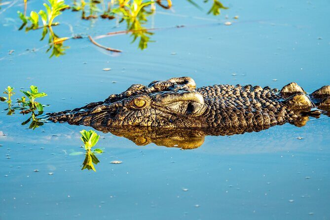 Private Day Tour Kakadu - Who Should Book This Tour?