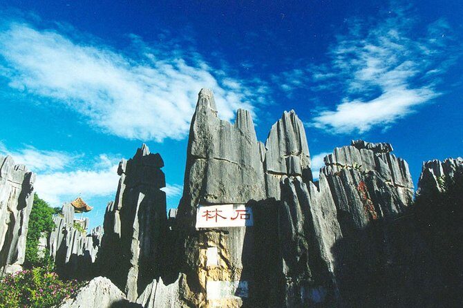 Private Day Tour: Kunming Highlight of Stone Forest - An In-Depth Look at the Itinerary
