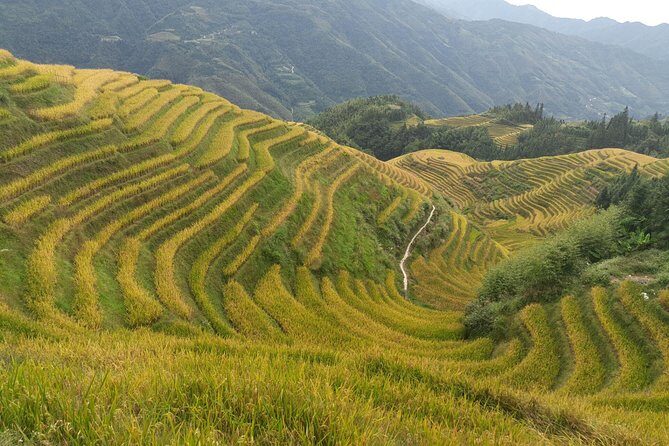 Private Day Tour: Longji Rice Terraces and Long Hair Village - The Journey Begins: From Guilin to the Longji Rice Terraces