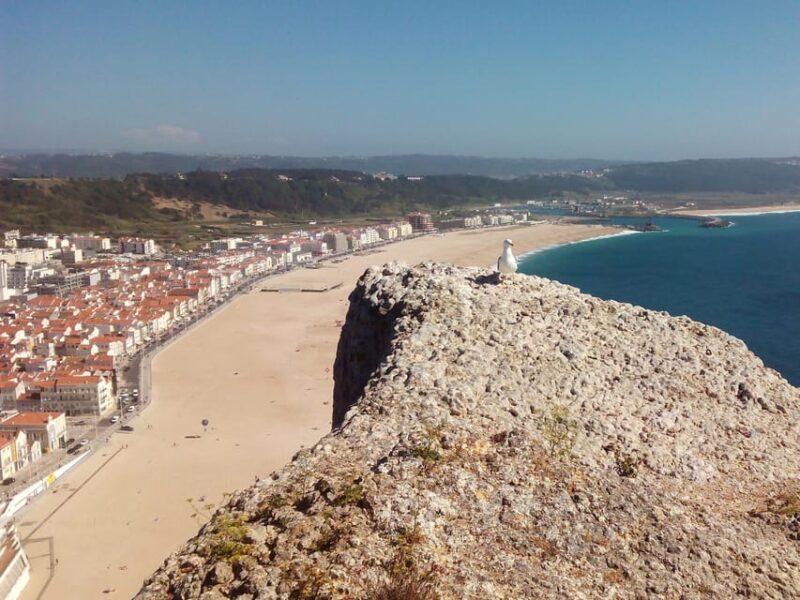 Private Day Tour Medieval Obidos, Nazare wave & Peniche Surf - FAQs