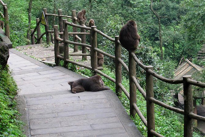 Private Day Tour: Mount Emei Tour by high-speed train from Chengdu - Key Points