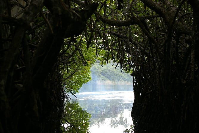 Private Day Tour: Negombo City Tour from Colombo - A Detailed Look at the Negombo Day Tour