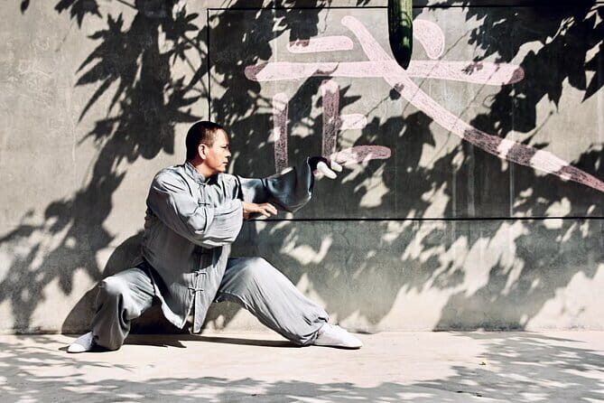 Private Day Tour of Chinese Kungfu and Terra-cotta Warriors - The Itinerary in Detail