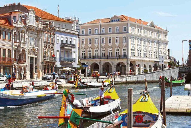 Private day tour of Coimbra and Aveiro from Lisbon - Who Should Book This Tour?