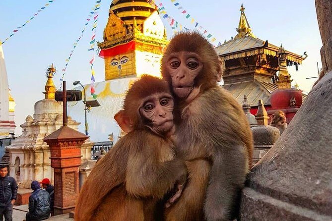 Private Day Tour of Durbar, Temple and Stupa #visitnepal2020 - Final Thoughts