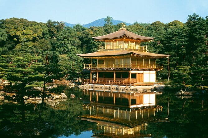 Private Day Tour of Historic Osaka - Authentic Experiences Reported by Past Travelers