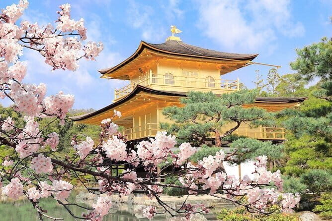 Private Day Tour of Historic Osaka - The Sum Up