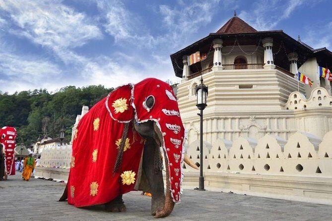 Private Day Tour Of Kandy From Galle and Bentota - Exploring the Kandy Highlights in Detail