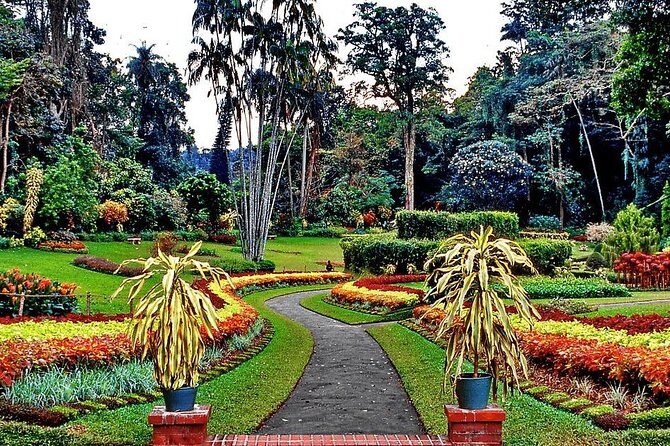 Private Day Tour Of Kandy From Galle and Bentota - FAQ