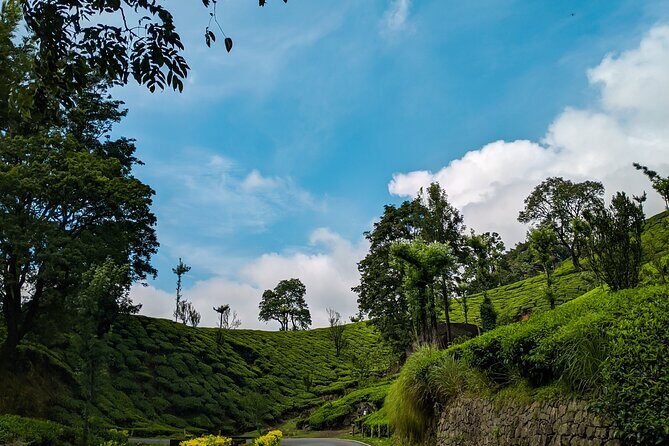 Private Day Tour of Munnar from Kochi in Air-Conditioned Vehicle - The Value of This Tour