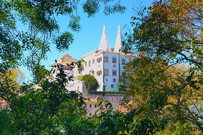 Private day tour of Obidos and Sintra from Lisbon - Transportation and Comfort