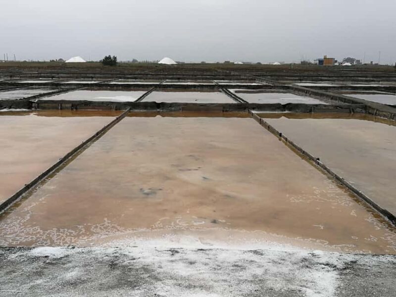 Private day tour of Olive Oil , Salt Flats and Winery - Introduction