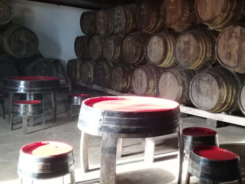 Private day tour of Olive Oil , Salt Flats and Winery - Key Points