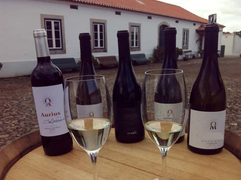 Private day tour of Olive Oil , Salt Flats and Winery - Who Is This Tour Best For?