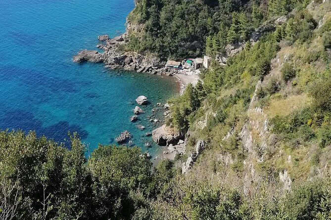 Private day tour: Pompeii, Sorrento and Positano. - What the Reviews Tell Us