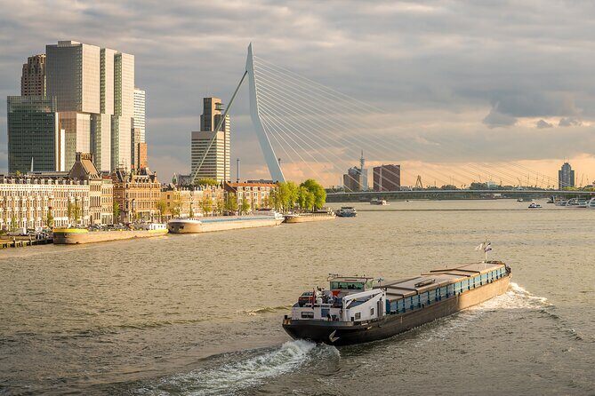 Private Day Tour: Rotterdam and The Hague. English or Spanish - Who Is This Tour Best For?