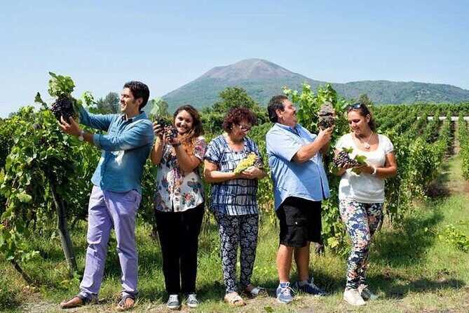 Private day tour: Sorrento, Positano, Amalfi and Ravello. - FAQ