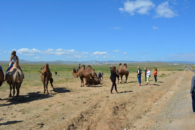Private Day Tour: Terelj National Park + Genghis Khan's Statue .. - FAQ
