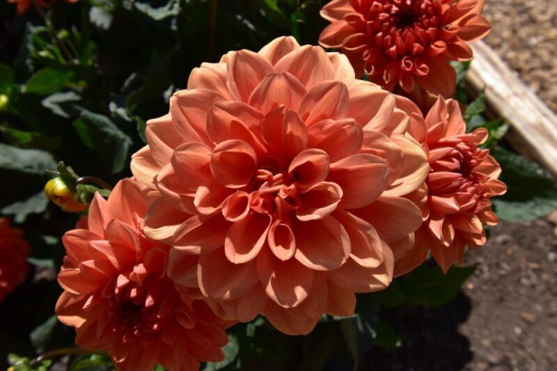 Private Day Tour to Chartwell, Home of Sir Winston Churchill - Analyzing the Cost and Experience Value