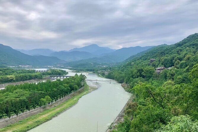 Private Day Tour to Dujiangyan Panda Base & Dam from Chengdu - Practical Details and Experience Highlights