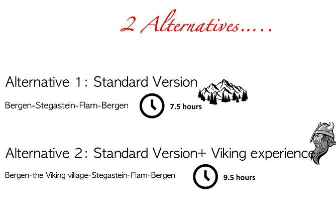 Private Day Tour to Flam and Stegastein - An In-Depth Look at the Experience