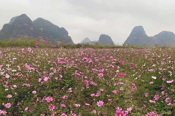 Private Day Tour to Gulong Canyon and Jiulong Town from Guangzhou - From the Perspective of Reviewers and Travelers