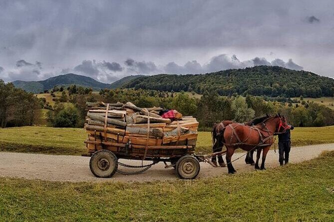 Private Day Tour to Historical Villages in Sinaia - FAQs
