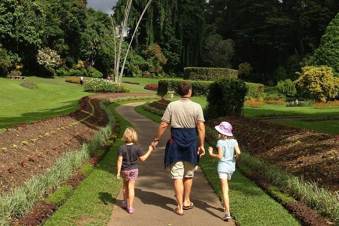 Private Day Tour To Kandy From Kaluthara - Why This Tour Delivers Value