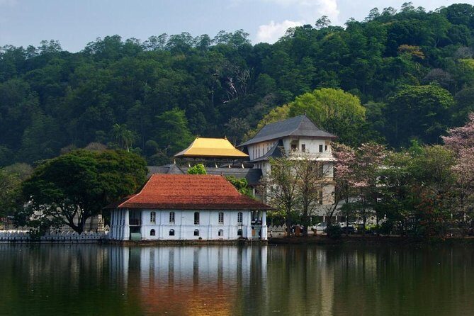 Private Day Tour To Kandy From Wadduwa - A Deep Dive into the Kandy Day Tour Experience