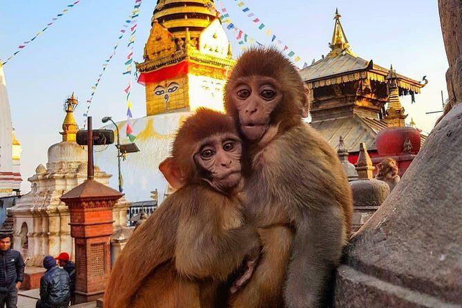 Private Day Tour to Kathmandu Durbar Square & Swayambhu Stupa #visitnepal2020 - Discovering Kathmandu’s Heritage: A Detailed Breakdown
