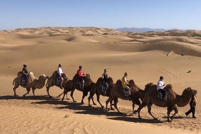 Private Day Tour to Kubuqi Desert from Hohhot with Pick Up - A Detailed Look at the Kubuqi Desert Day Tour from Hohhot