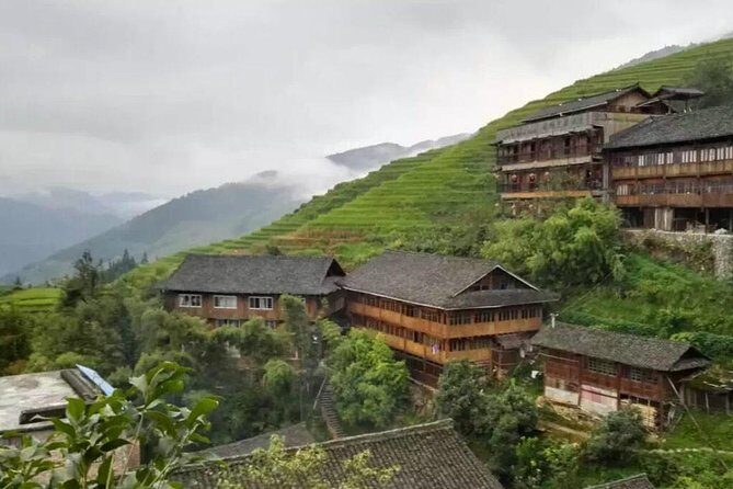 Private Day Tour to Longji Rice Terrace from Yangshuo - An In-Depth Look at the Longji Rice Terrace Tour