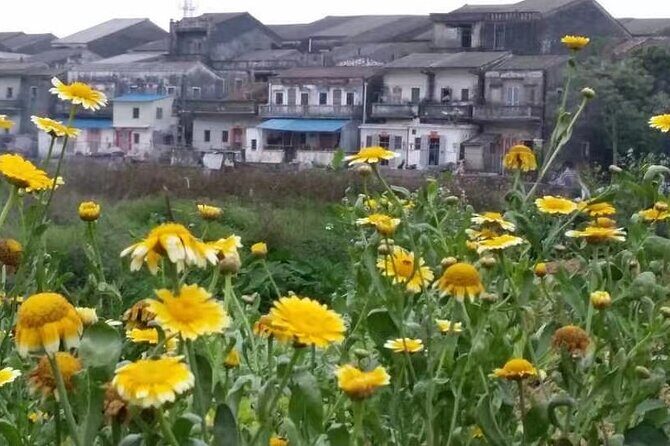 Private Day Tour to Meijia Countyard & Taishan from Guangzhou - A Deep Dive Into the Tour Experience