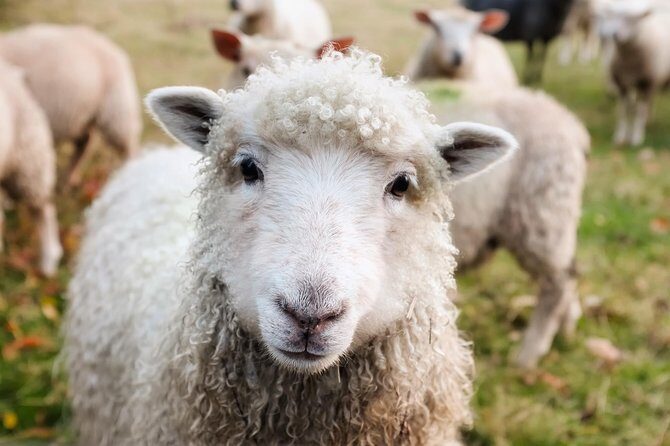 Private Day Tour to Oxford and The Cotswolds - FAQs