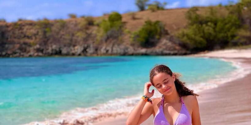 Private day tour to pink beach-sand island-gili petelu - An In-Depth Look at the Tour Experience