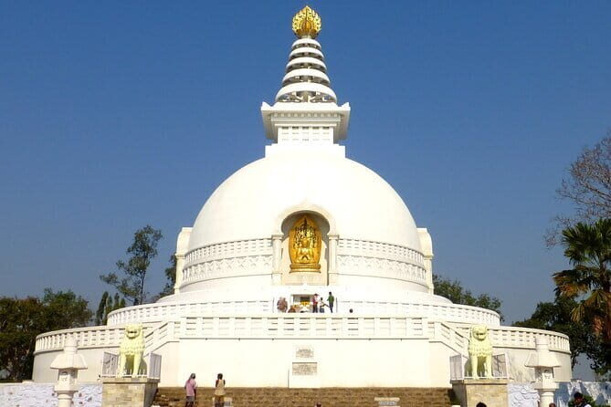 Private Day Tour to Rajgir and Nalanda from Bodhgaya - Final Thoughts: Is This Tour Worth Your Time and Money?