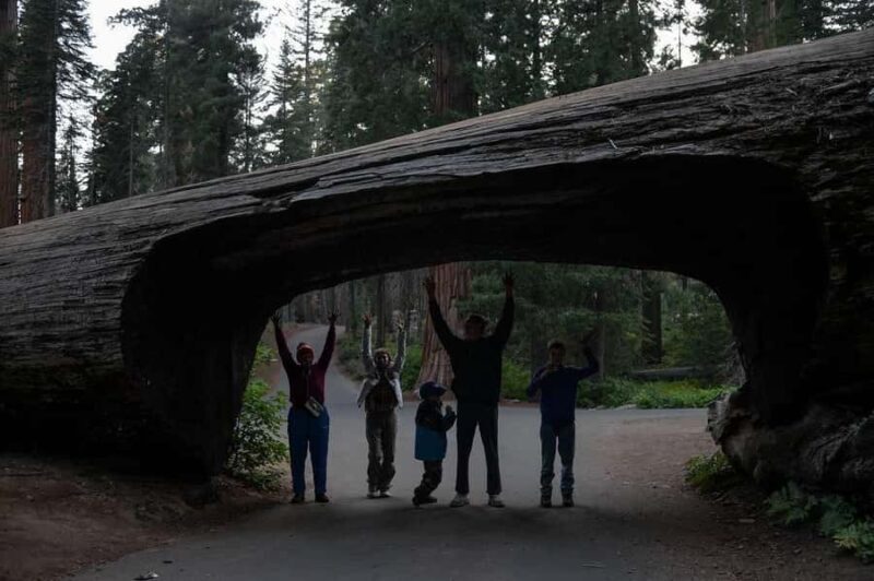 Private Day Tour to Sequoia and Kings Canyon Parks From LA - Key Points