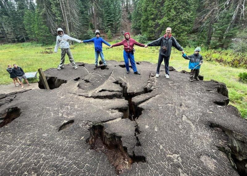 Private Day Tour to Sequoia and Kings Canyon Parks From LA - Who Would Love This Tour?