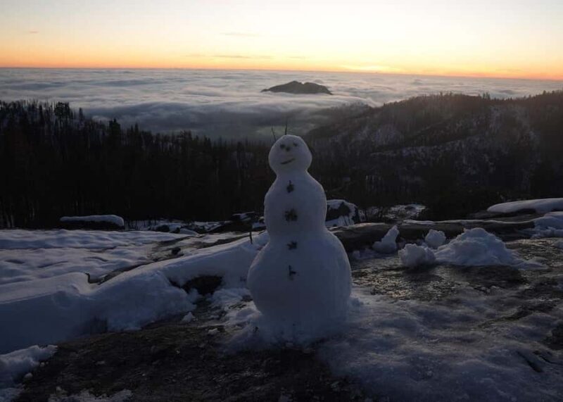 Private Day Tour to Sequoia and Kings Canyon Parks From LA - FAQ