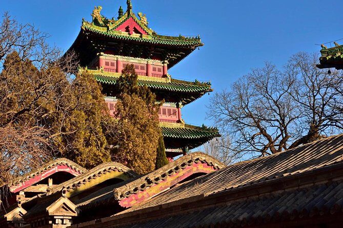 Private Day Tour to Shaolin Temple and Longmen Grottoes from Zhengzhou - Authentic Experiences & Review Highlights