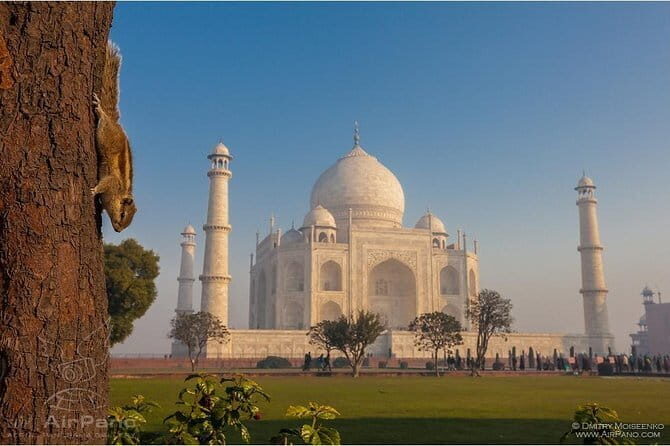 Private Day Tour to Taj Mahal and Agra Fort from Delhi by Car - Key Points